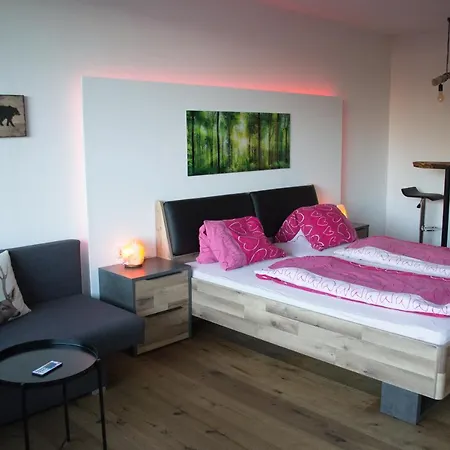 Noemi Apart-hotel Bad Goisern